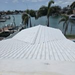 Roof Cleaning