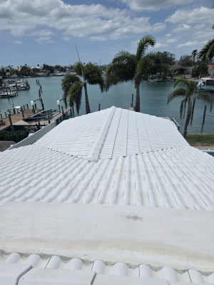 Roof Cleaning in Clearwater, Florida 